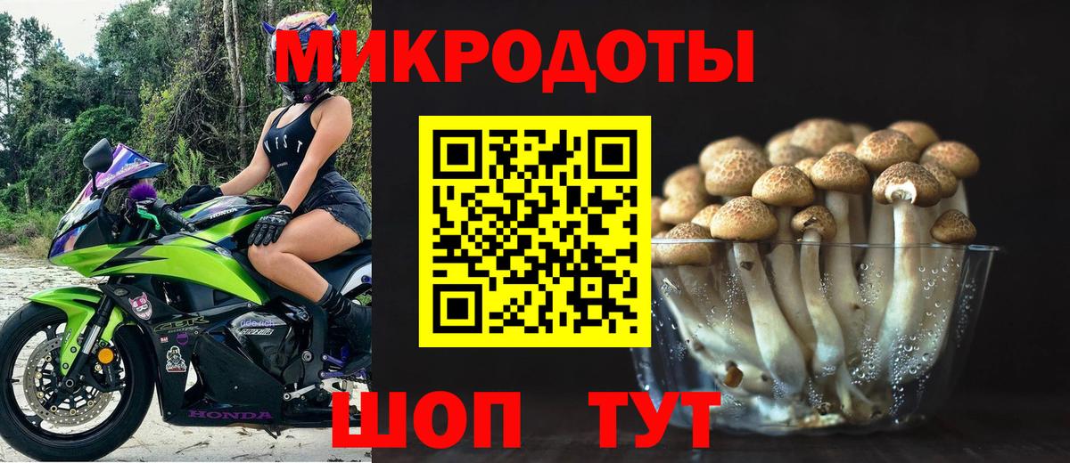 Галлюциногенные грибы мицелий Белово