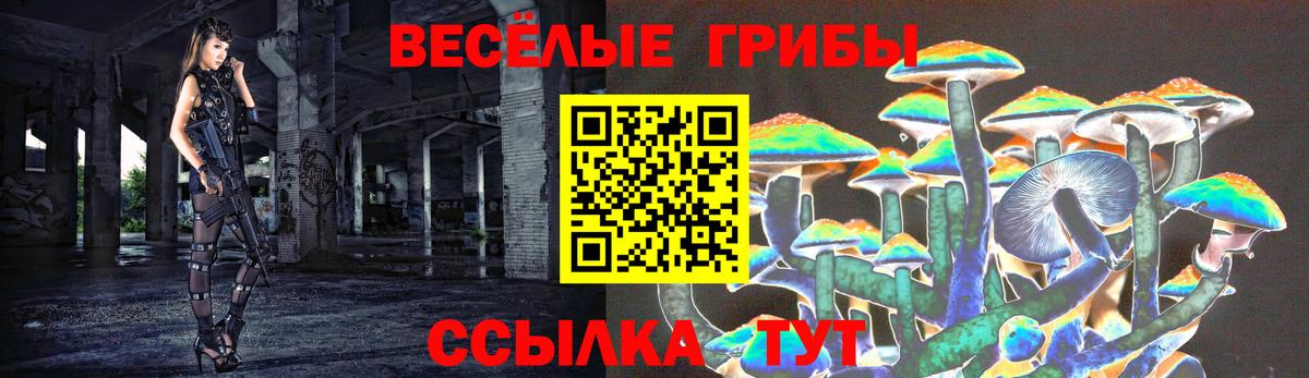 Белово  Галлюциногенные грибы Psilocybe  Вход с VPN 
